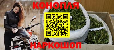 сатива Кунгур