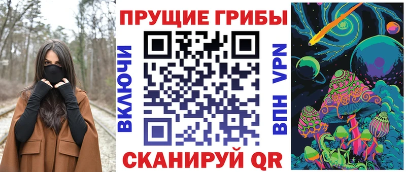 Галлюциногенные грибы MAGIC MUSHROOMS  закладки  Вольск 